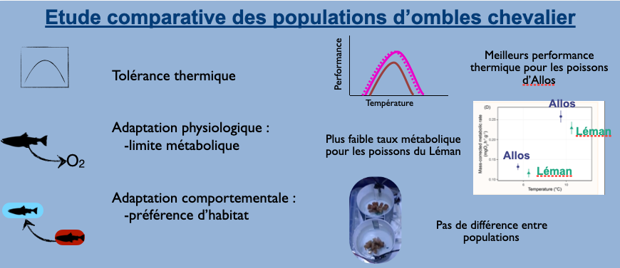 Screenshot 2026-01-27 at 10.32.59-10_36_46.png